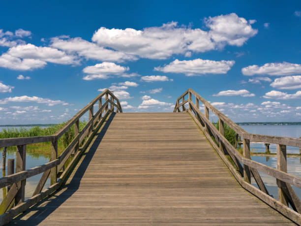 Wooden Bridge Walkway