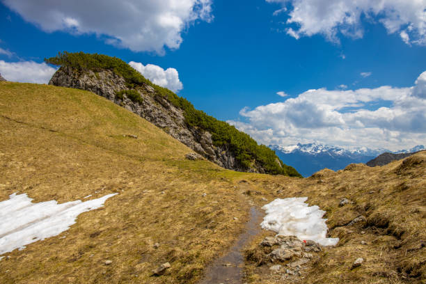 Austria Alps mountain landscape in early summer with snow, grass and rocky summits on a sunny day. Austrian mountains beautiful scenic view in Tirol near Imst