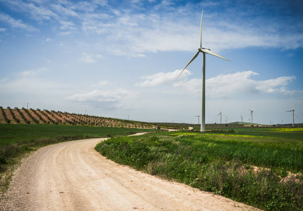 Green fields with wind turbines and an olive plantation, representing sustainability, renewable energy, and the future of eco-friendly agriculture