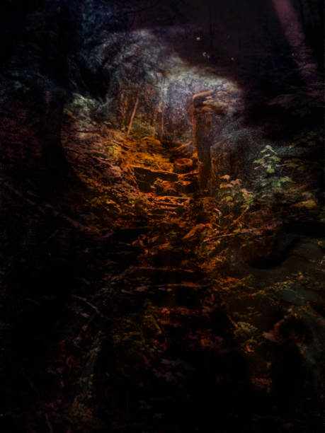 istock Lake Superior Provincial Park (Charles Agree Outpost, Tamarack Camps, 2001) 2202836727