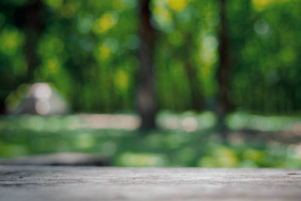 istock Wooden platform with blurred green forest. 2202838973