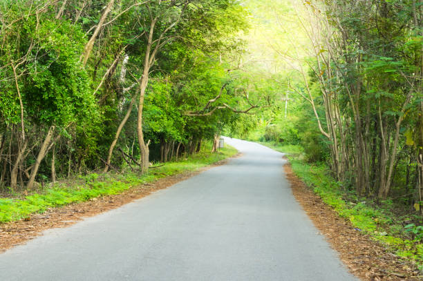 istock Street way lane path through the forest at summer. 2202839115