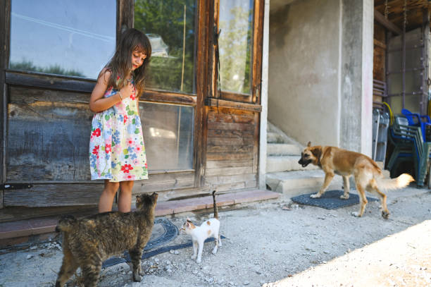 Girl spending time with animals.