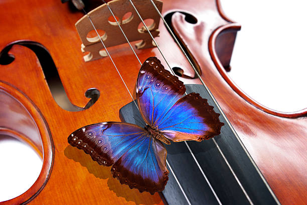 istock blue butterfly morpho on a violin. music concept 2202839914