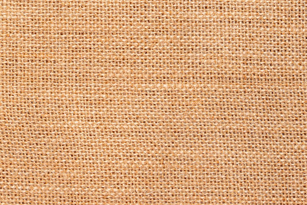 istock Macro blank photography of burlap 2202840205