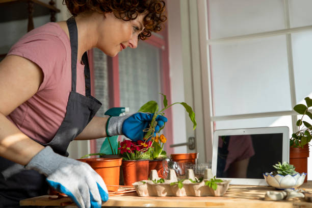 istock Woman using a digital tablet at home garden 2202850467