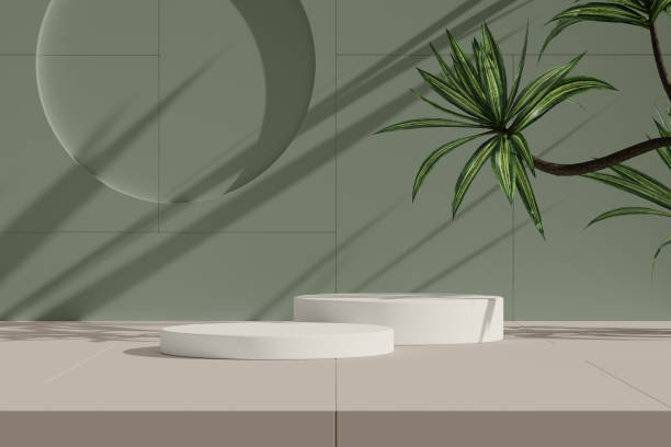 istock Minimalist podium design with abstract shadows and plant elements. 2202850602