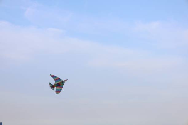 Colorful kite flying in the wind
