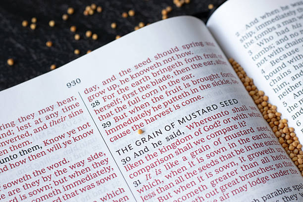 istock Grain of mustard seed text in open holy bible book 2202852885