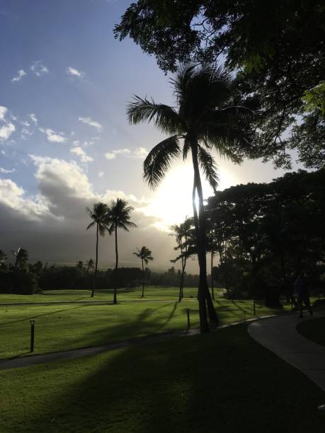 istock Kaanapali, Maui, Hawaii, USA (December 2017) 2202853998