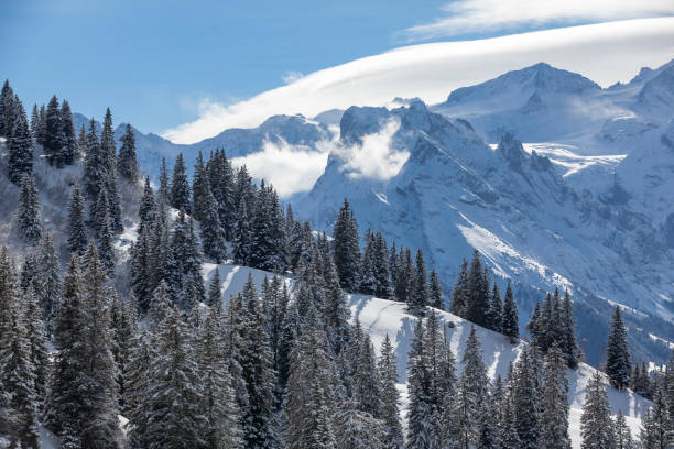istock swiss alps, switzerland 2202857420
