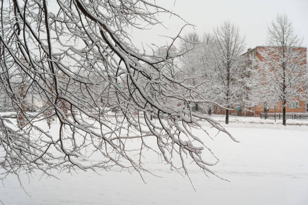 low angle shot of town sidewalk in winter, natural blur