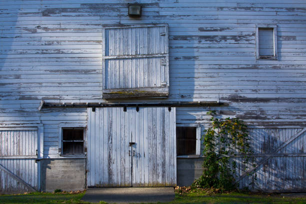 Small wooden barn standing alone in meadow