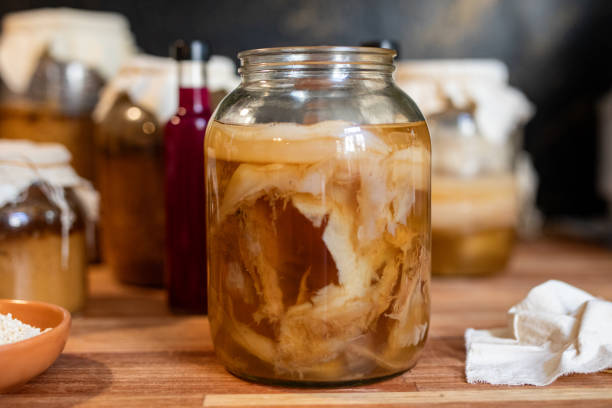 Homemade fermented kombucha tea with scoby- full process - Kombucha tea making process. Close-up shot showcasing the fermentation process. Step of the homemade process of the probiotic ferment of tea of ​​kombucha - Buenos Aires - Argentina