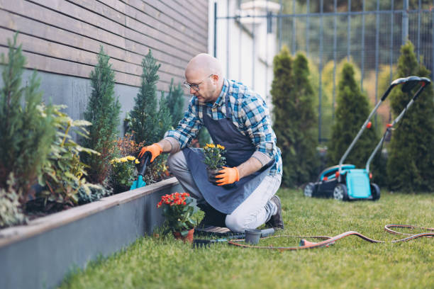Gardener maintaining a raised flower bed