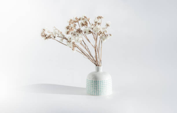 istock Dry flowers in a vase. 2202869567