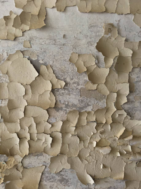 istock The Effects of Moisture on a Masonry Wall 2202871499