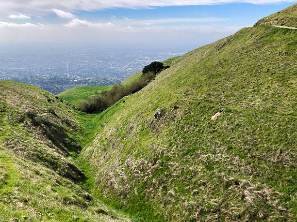 istock A steep, green canyon cuts through rolling hills, framed by scattered shrubs and a lone tree, with a sprawling San Jose cityscape visible in the hazy background at Sierra Vista Open Space Preserve 2202872181