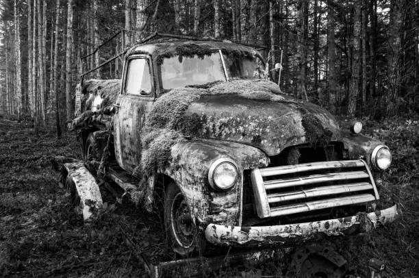 An old, abandoned truck covered with blankets of moss rusts slowly in a forest of fir trees on San Juan Island.