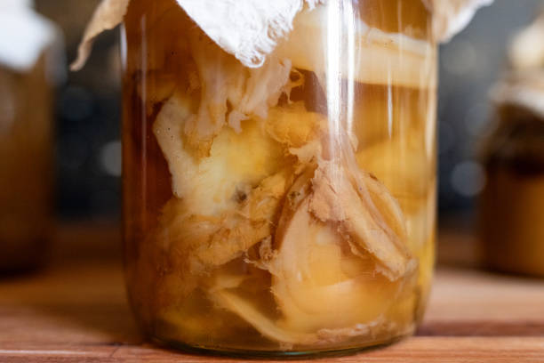 istock Homemade fermented kombucha tea with scoby- full process Kombucha tea making process 2202873338
