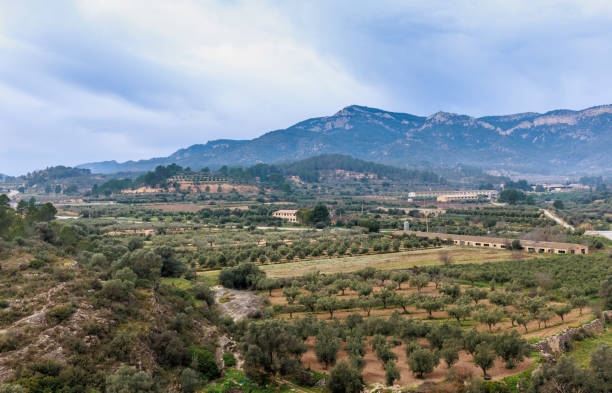 A beautiful landscape between mountains with agricultural fields and olive trees in La Terra Alta