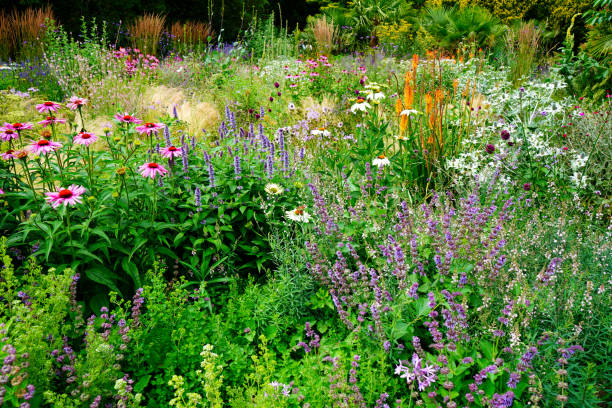 Flower bed growing in the summer