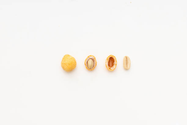 different parts of peanut whole nut half of it