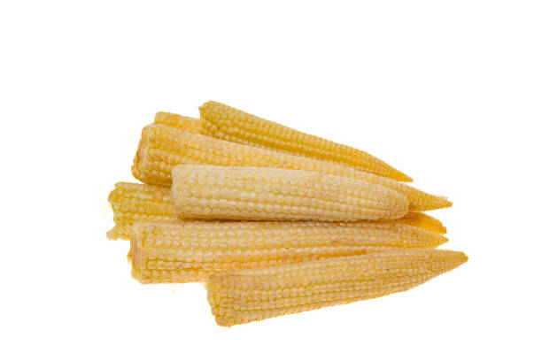 Baby corn on the cob - white background
