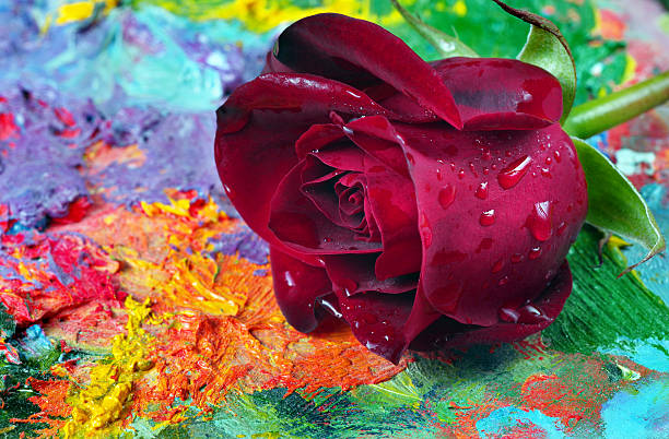 istock beautiful red rose on the artist's palette 2202884723