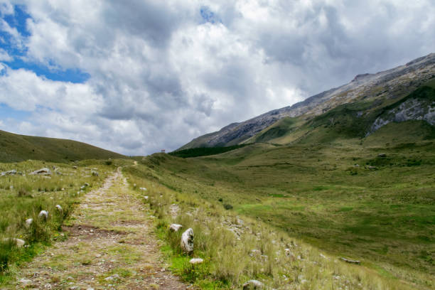 istock Road on trail in mountains with blue sky and gray clouds 2202886379