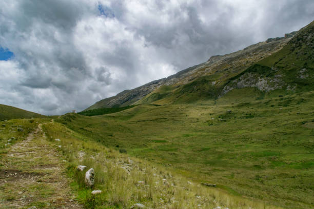 istock Road on trail in mountains with blue sky and gray clouds 2202886390