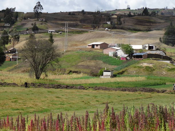 istock Nature view. Village. Crops and mountains. 2202887992