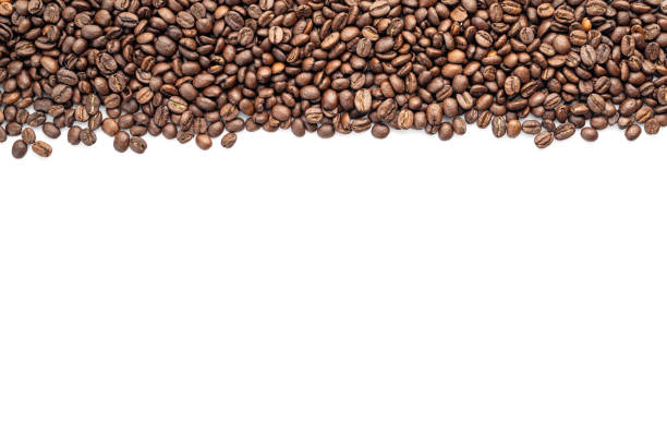 Organic Coffee Beans, Coffee package design, Coffee web banner.