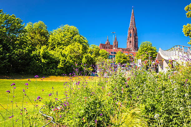 istock Freiburg im Breisgau cathedral and green landscape view 2202893643