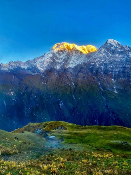 istock Sunrise Over Annapurna South, Nepal 2202895559