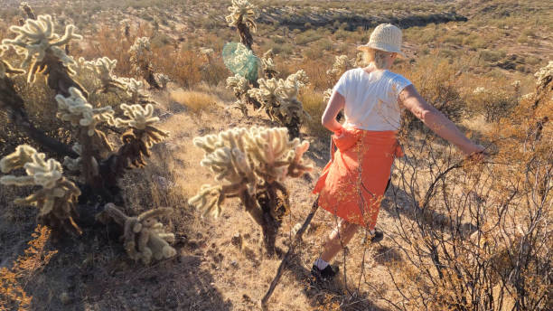 istock Woman hiker explores desert landscape 2202895827