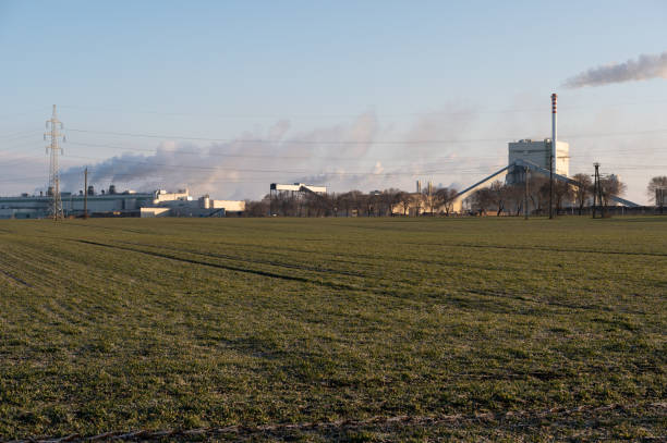 An expansive industrial complex with chimneys emitting smoke is seen behind a green field under a clear sky. Power lines and leafless trees frame the scene, highlighting the contrast between nature and industry in the evening light.
