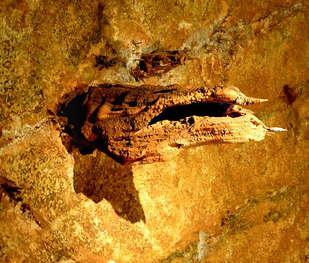 rock in prehistoric caves