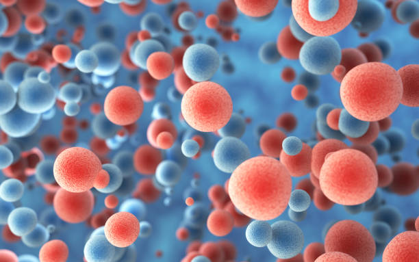 3d render Macro Human Cell Embryonic Stem Cell, Medical and Macro Concept (Depth Of Field)