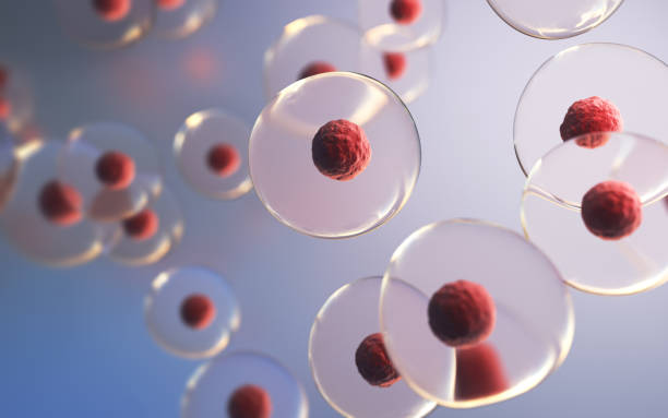 istock Human Cell Embryonic Stem Cell, Depth Of Field 2202900523