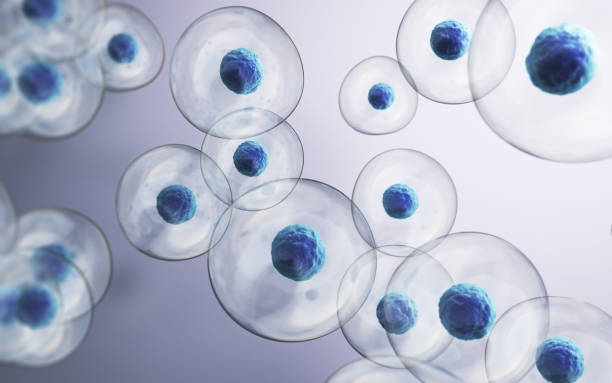 istock Human Cell Embryonic Stem Cell, Depth Of Field 2202900530