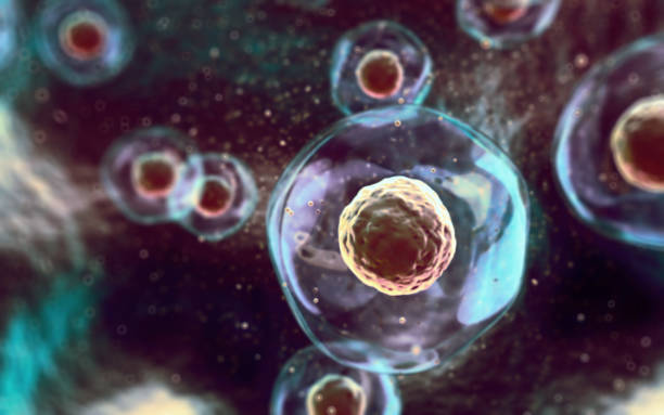 istock Human Cell Embryonic Stem Cell, Depth Of Field 2202900551