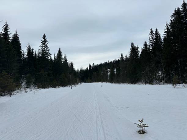 istock Cross country slope in Norway 2202904032