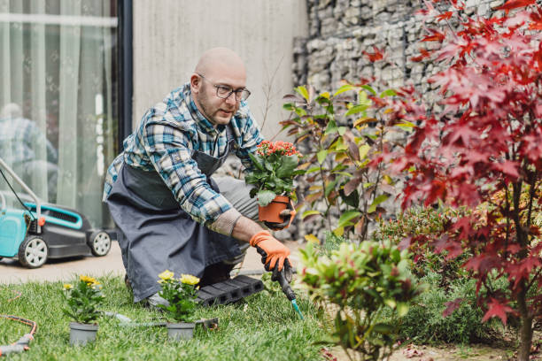 istock Man planting flowers in the garden 2202906363