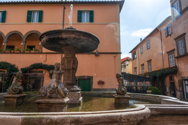 istock Tuscania, Great Fountain 2202910781