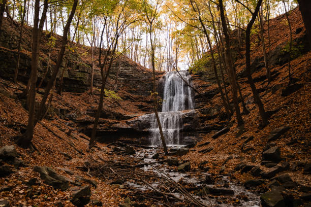 Sustainability practices-noninvasive recording of environmental sounds. AI-driven field-based studies using ecoacoustic approaches to effectively survey biodiversity in terrestrial and marine ecosystems and restorative environments.