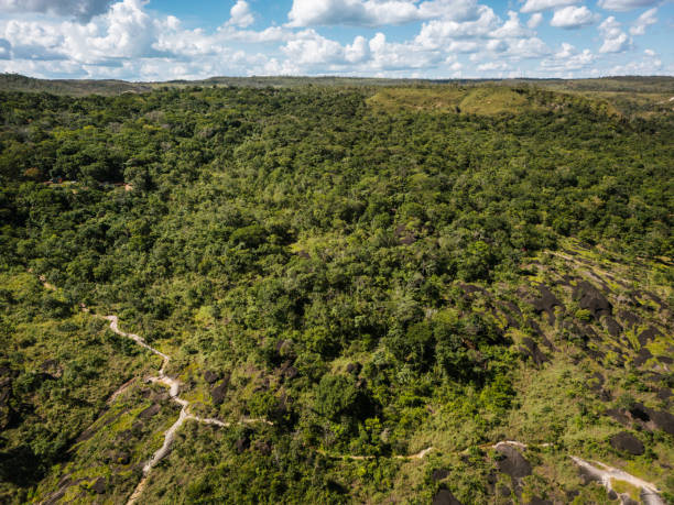 istock Trail in the Chapada dos Veadeiros National Park 2202923953