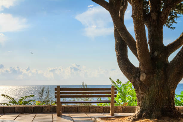 High angle front view of two wooden benches side by side El Cabanyal district in the city of Valencia, Spain