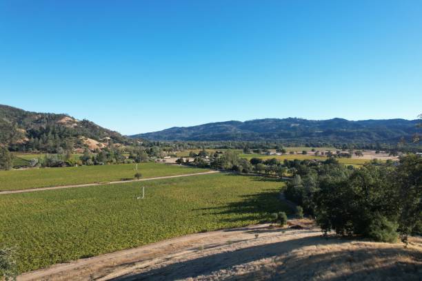 istock Napa valley, California, USA 2202930740