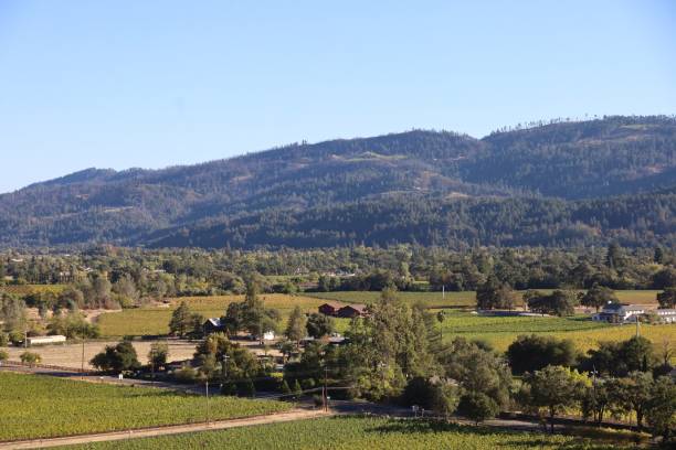 istock Napa valley, California, USA 2202931388